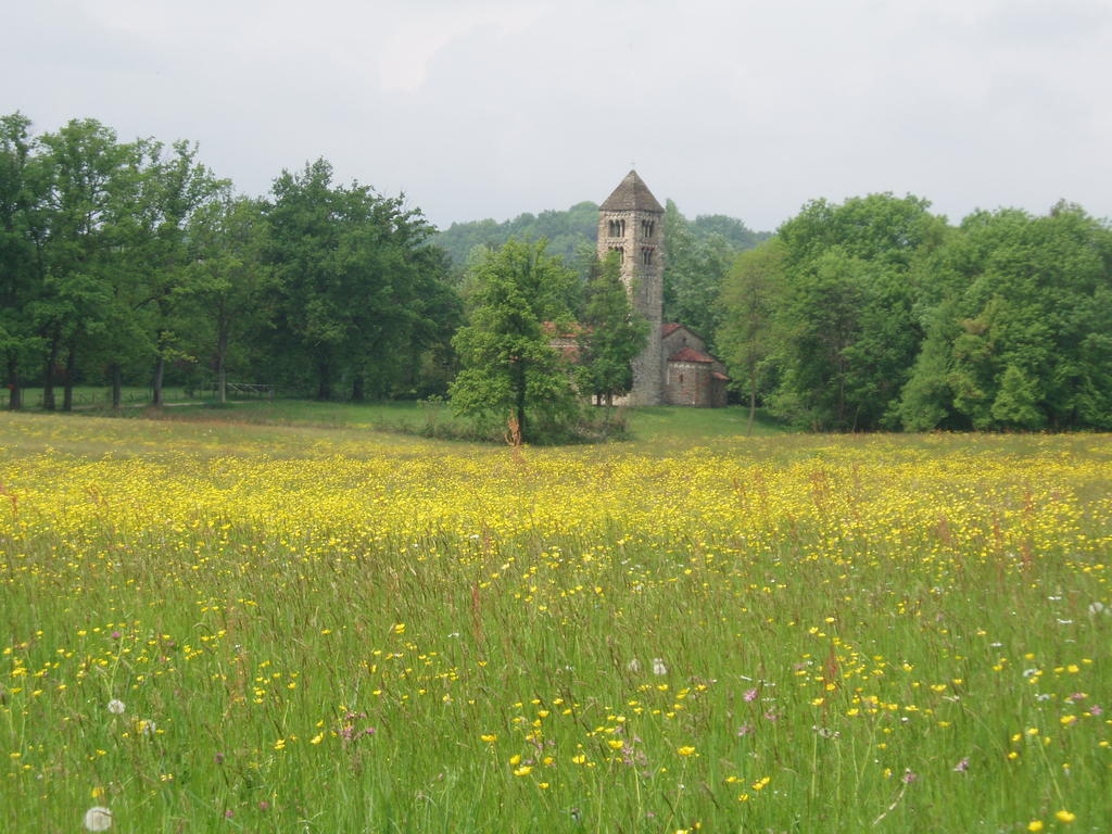 La Pepanella Bed & Breakfast Magnano  Dış mekan fotoğraf